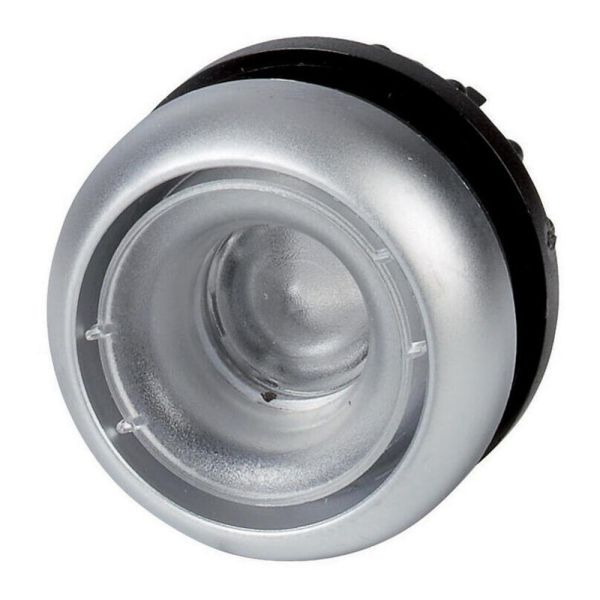 Leuchtdrucktaste, RMQ-Titan, flach, rastend, ohne Tastenplatte, Frontring Titan – 216954