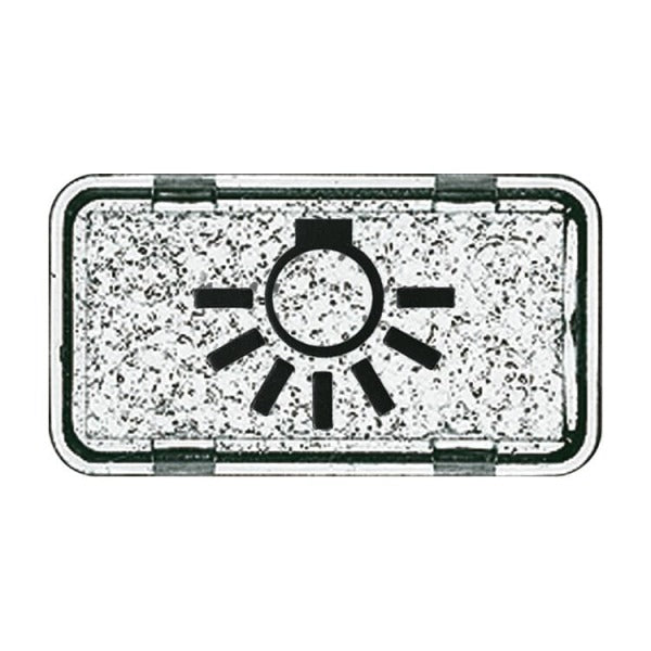 Tastersymbol mit Symbol ''Licht'' transparent klar - Allwetter 44 (IP44) / ocean – 2CKA001714A0260