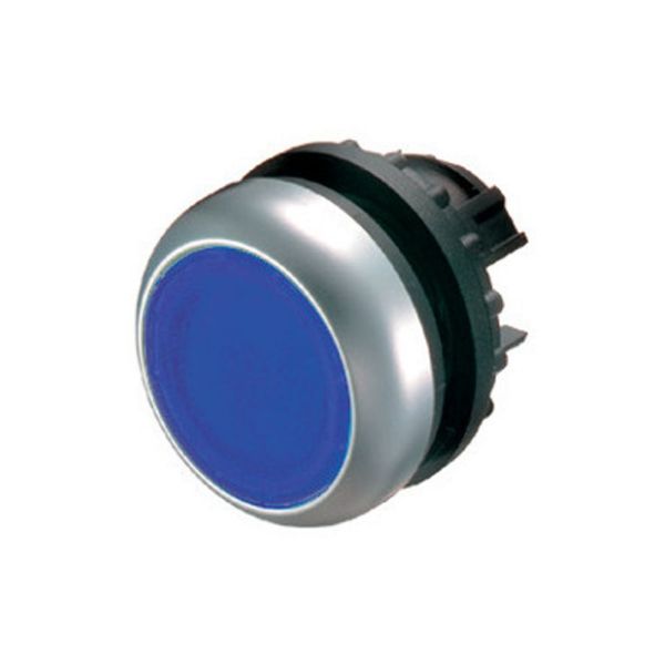 Leuchtdrucktaste, RMQ-Titan, flach, rastend, blau, unbeschriftet, Frontring Titan – 216952