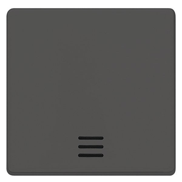 DELTA i-system, carbonmetallic Wippe mit Fenster, 55x 55mm für Kontroll/aus/W. – 5TG6220
