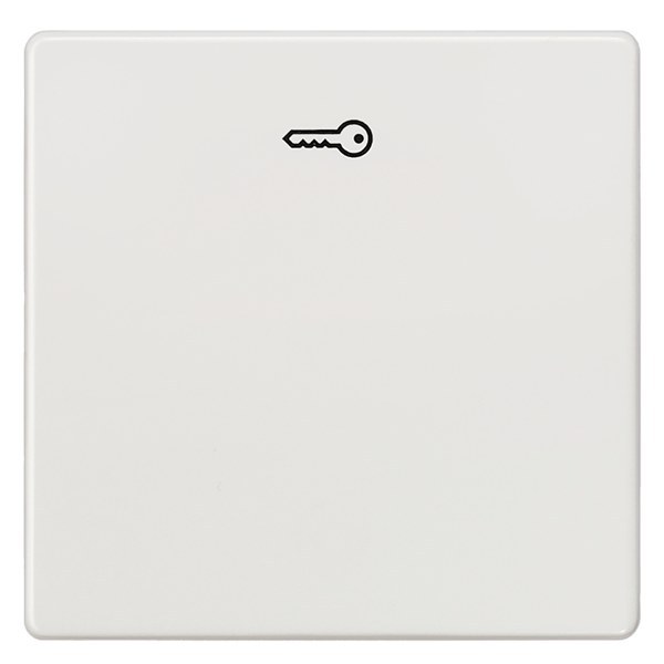 DELTA i-system Wippe mit Symbol Türöffner, titanweiß – 5TG6208