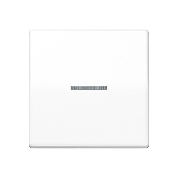Wippe 1fach mit Lichtleiter, Duroplast, Serie AS, alpinweiss – AS591KO5WW