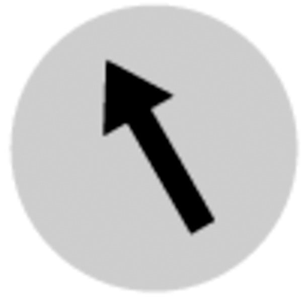 Tastenlinse, flach weiß, Symbol Pfeil – 218306