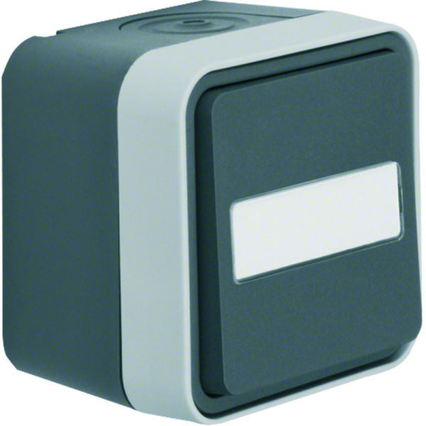 W.1 IP55 Taster mit mittigem Beschriftungsfeld grau/lichtgrau matt – 50763555