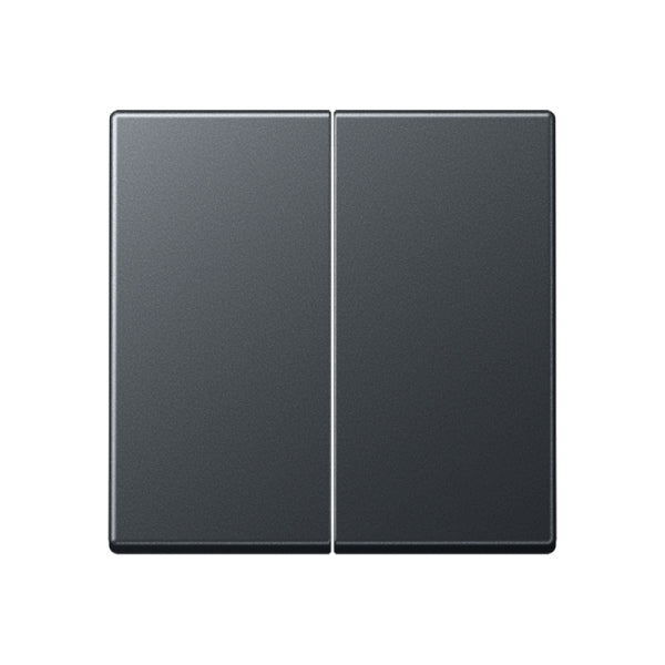 Wippe 2fach, Thermoplast lackiert, Serie A, anthrazit matt – A595BFANM