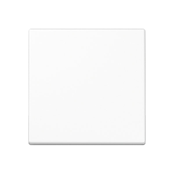 Steuertaste Standard, Duroplast, Serie A, alpinweiss – A1700WW