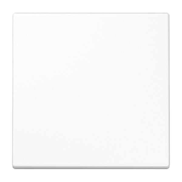 Steuertaste Standard, Duroplast, Serie LS, alpinweiss – LS1700WW