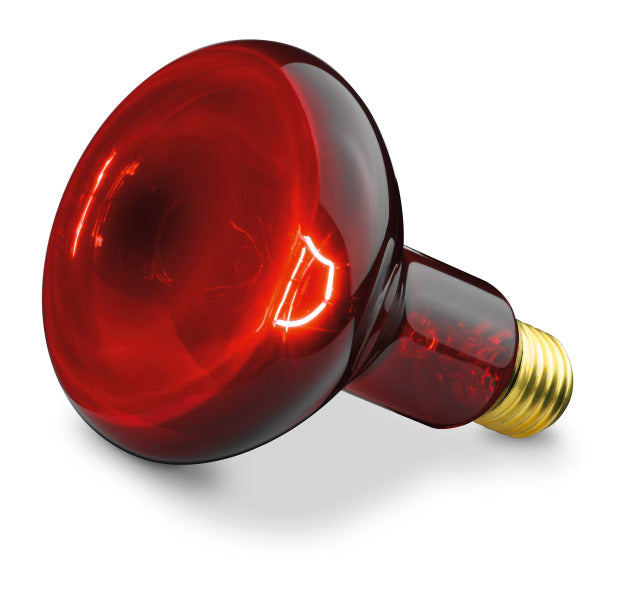 Ersatzstrahler / spare bulb 100W (IL 11) – 61451