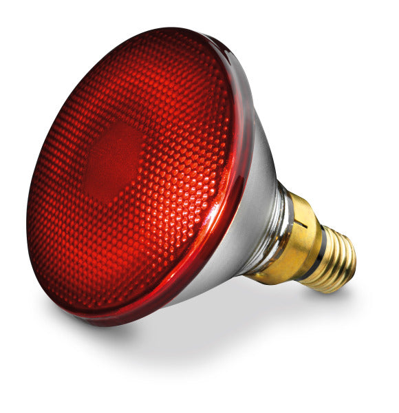Ersatzstrahler / spare bulb 150W (IL 21 / 35) – 61651
