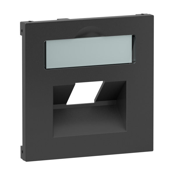 SEANO Abdeckung 1x RJ45 für Datendosen Fremdfabrikate, Farbe: Anthrazit lackiert – 765458