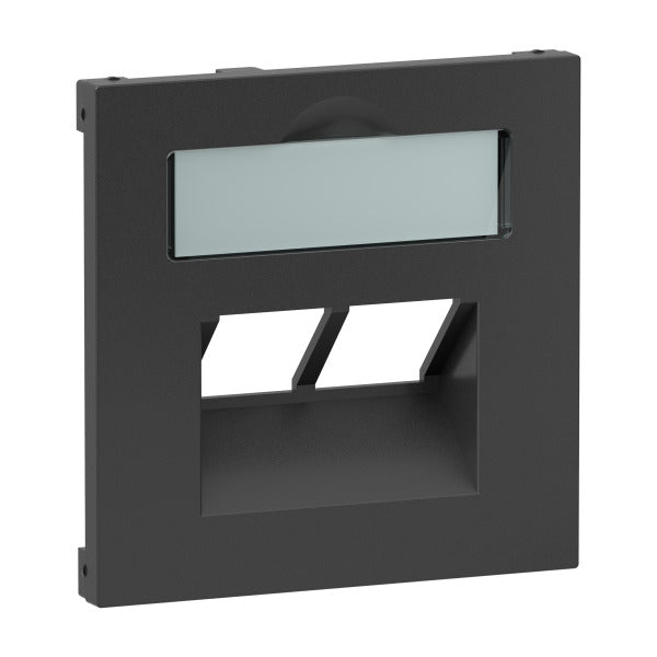 SEANO Abdeckung 2x RJ45 für Datendosen Fremdfabrikate, Farbe: Anthrazit lackiert – 765459