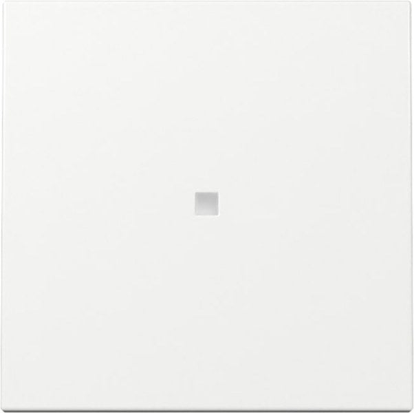 Wippe Kontrollf. System 55 Reinweiß – 329003