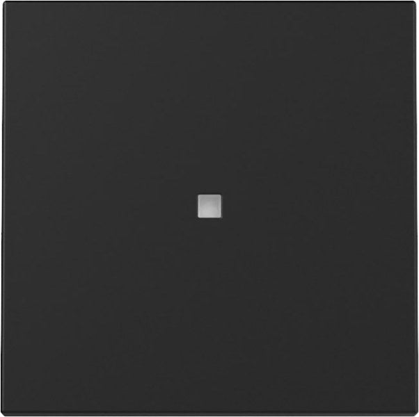 Wippe Kontrollf. System 55 Schwarz m – 3290005