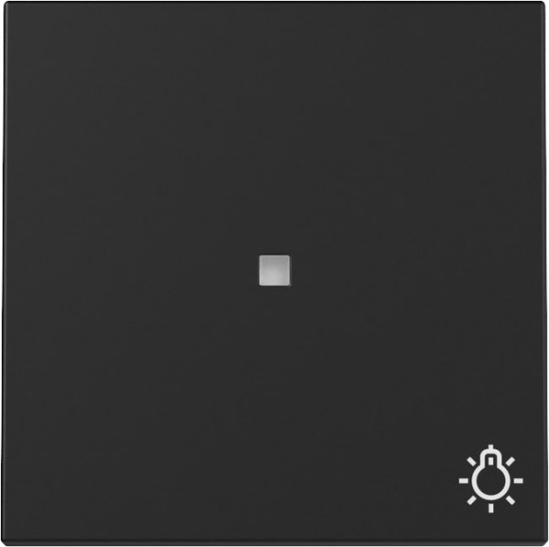 Wippe Kontrollf. + Symb. Licht System 55 Schwarz m – 3674005