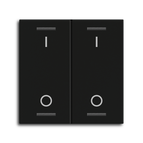 MDT Wippe für KNX Taster Light 55 2-fach, Schwarz matt, Schalten  – BE-TAL55W206.B1