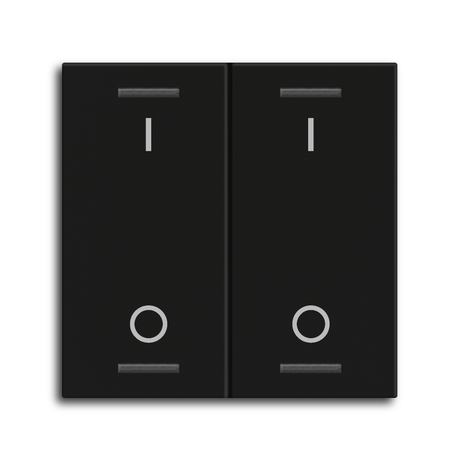 MDT Wippe für KNX Taster Light 55 2-fach, Schwarz matt, Schalten  – BE-TAL55W206.B1