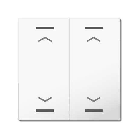 MDT Wippe für KNX Taster Light 55 2-fach, Reinweiß glänzend, Jalousie  – BE-TAL55W202.A1