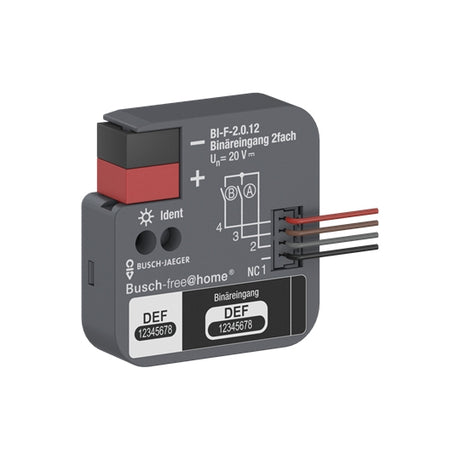 BUSCH-JAEGER Binäreingang, 2-fach,FM, BI-F-2.0.12  – 2CDG510023R0021