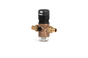 BWT BWT D1 Red 2' 40.16 Druckminderer, 40 C, 16 bar, Rg+   – 125300282