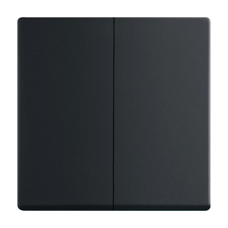 BUSCH-JAEGER Wippe Serie div. Flächenprogramme, schwarz matt   – 2CKA001751A3038