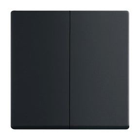 BUSCH-JAEGER Wippe Serie div. Flächenprogramme, schwarz matt   – 2CKA001751A3038