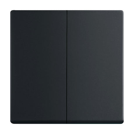 BUSCH-JAEGER Wippe Serie div. Flächenprogramme, schwarz matt   – 2CKA001751A3038