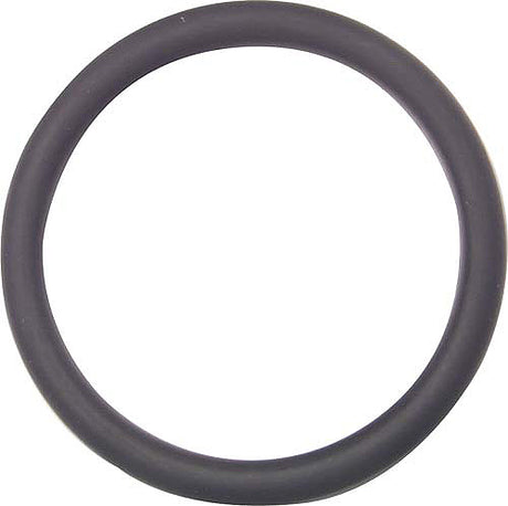 FISCHER GEORG GF O-Ring EPDM für Verschraubung d 40   – 748410009