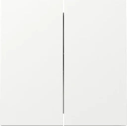 GIRA Wippe 2f Flächenschalter Reinweiß  – 329570