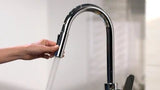 HANSGROHE HG Focus Spültischmischer mit Ausziehbrause, chrom   – 31815000