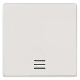 SIEMENS Wippe mit Fenster DELTA i-system, titanweiß   – 5TG6200