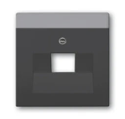 BUSCH-JAEGER Zentralscheibe 1-fach für RJ45 Dosen div. Flächenprogramme, schwarz matt   – 2CKA001710A3912