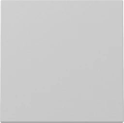 GIRA Wippe System 55 Grau m  – 3296015