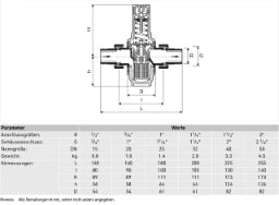 RESIDEO Resideo Ersatzsieb ES06F für R 1/2 + R 3/4   – ES06F-1/2A