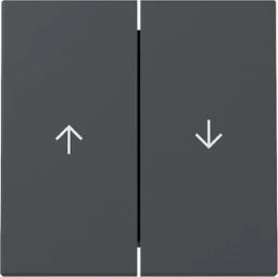 GIRA Wippe 2f Pfeil System 55 Anthrazit  – 329428
