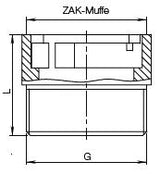 HAWLE ZAK 46 Übergangsstück Fig.6189 2" AG   – 5005891