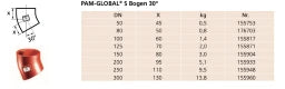 PREIS PAM GLOBAL S Bogen 30 Grad DN 100  – 10043