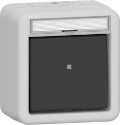 GIRA Wipptaster Wechsler BSF WG AP Grau  – 315630