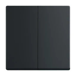 BUSCH-JAEGER Wippe Serie div. Flächenprogramme, schwarz matt   – 2CKA001751A3038