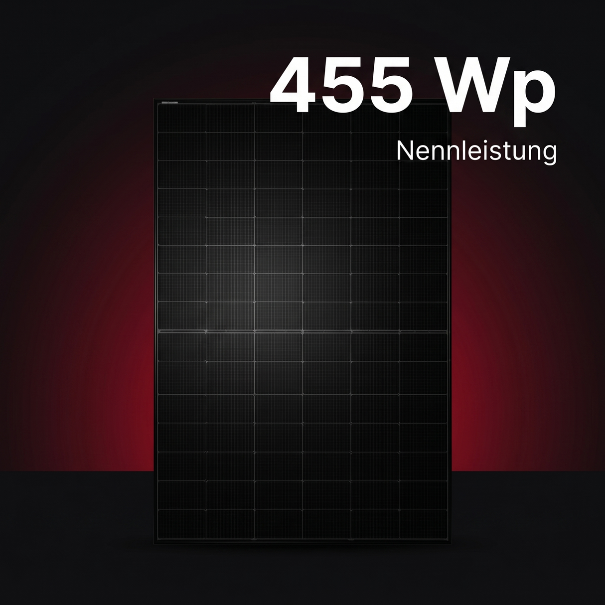 Tongwei TWMNH-48HE-455 – 455 Wp Nennleistung